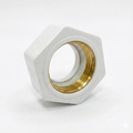 PORCA P/ HIDROMETRO 1" ( PVC )