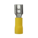 TERMINAL FEMEA 4 / 6MM AM